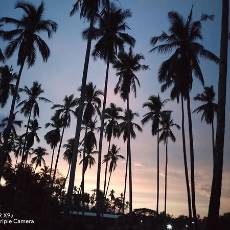 Forest Camp El Nido Exterior photo