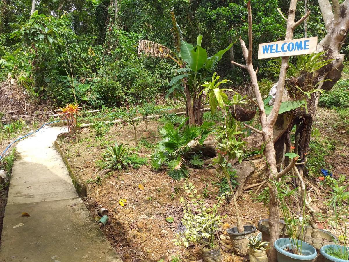 Forest Camp El Nido Exterior photo