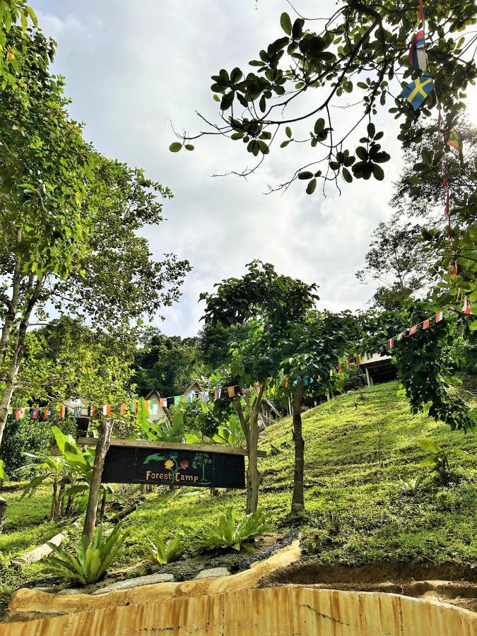 Forest Camp El Nido Exterior photo