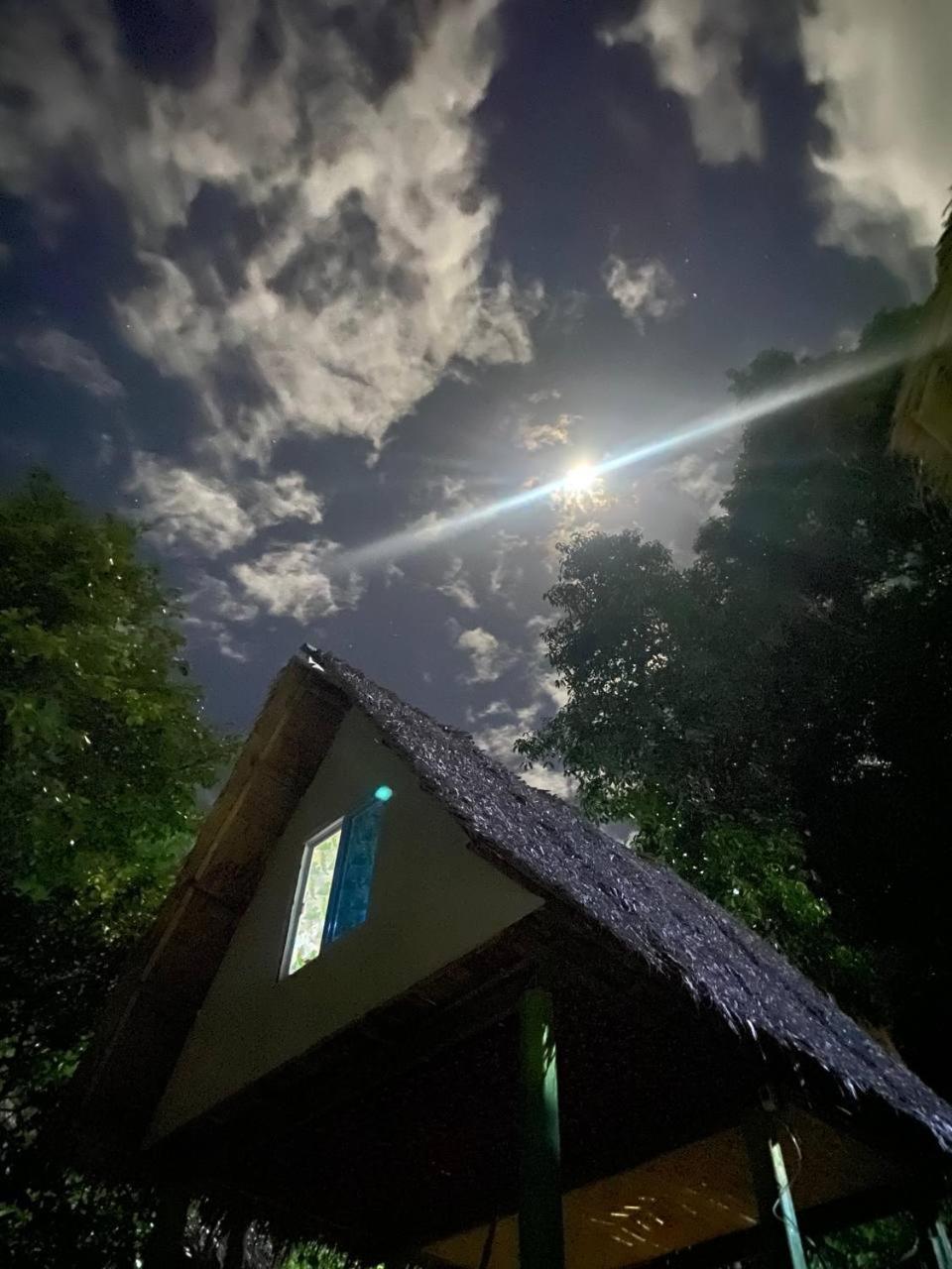 Forest Camp El Nido Exterior photo