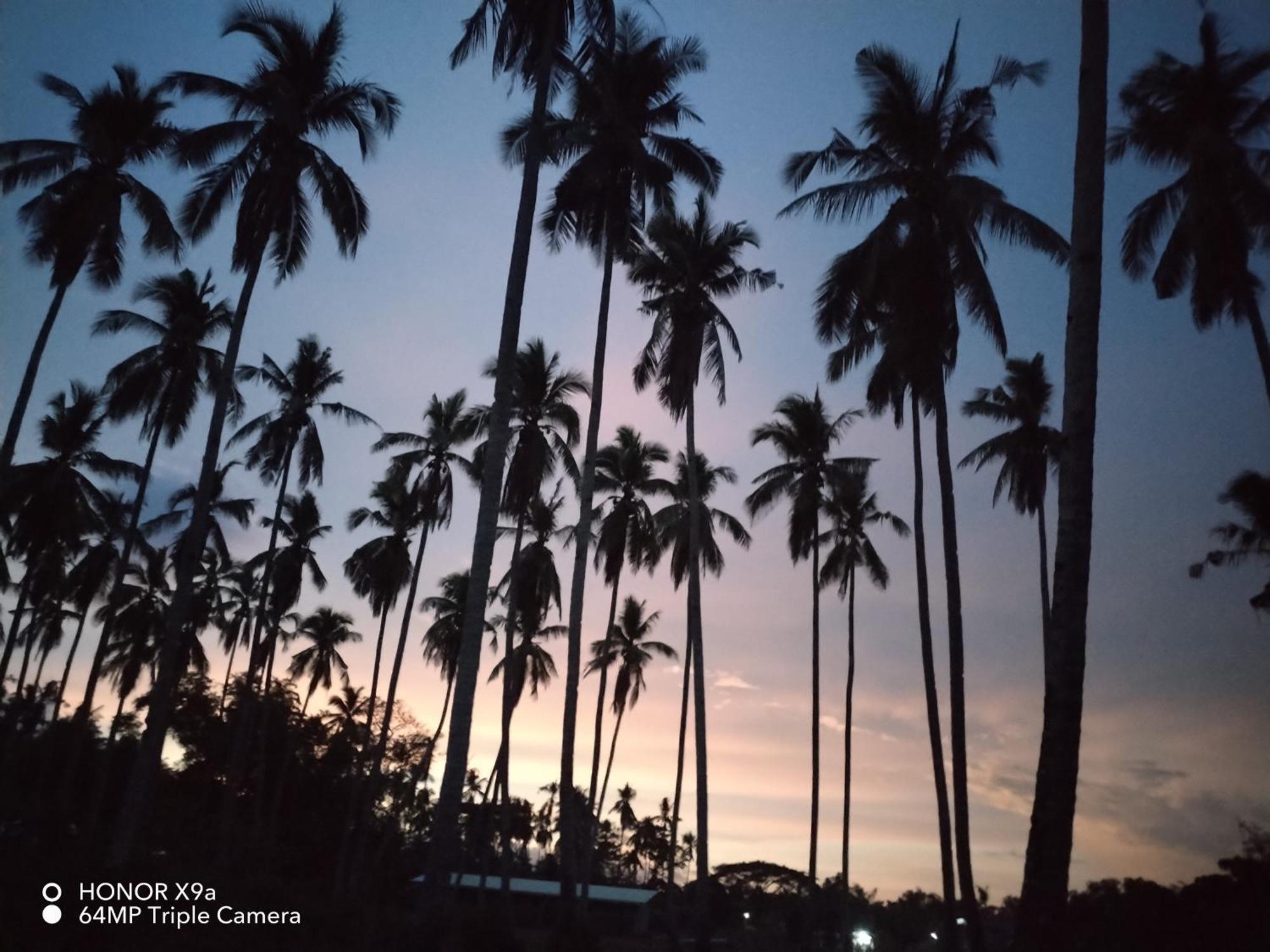 Forest Camp El Nido Exterior photo